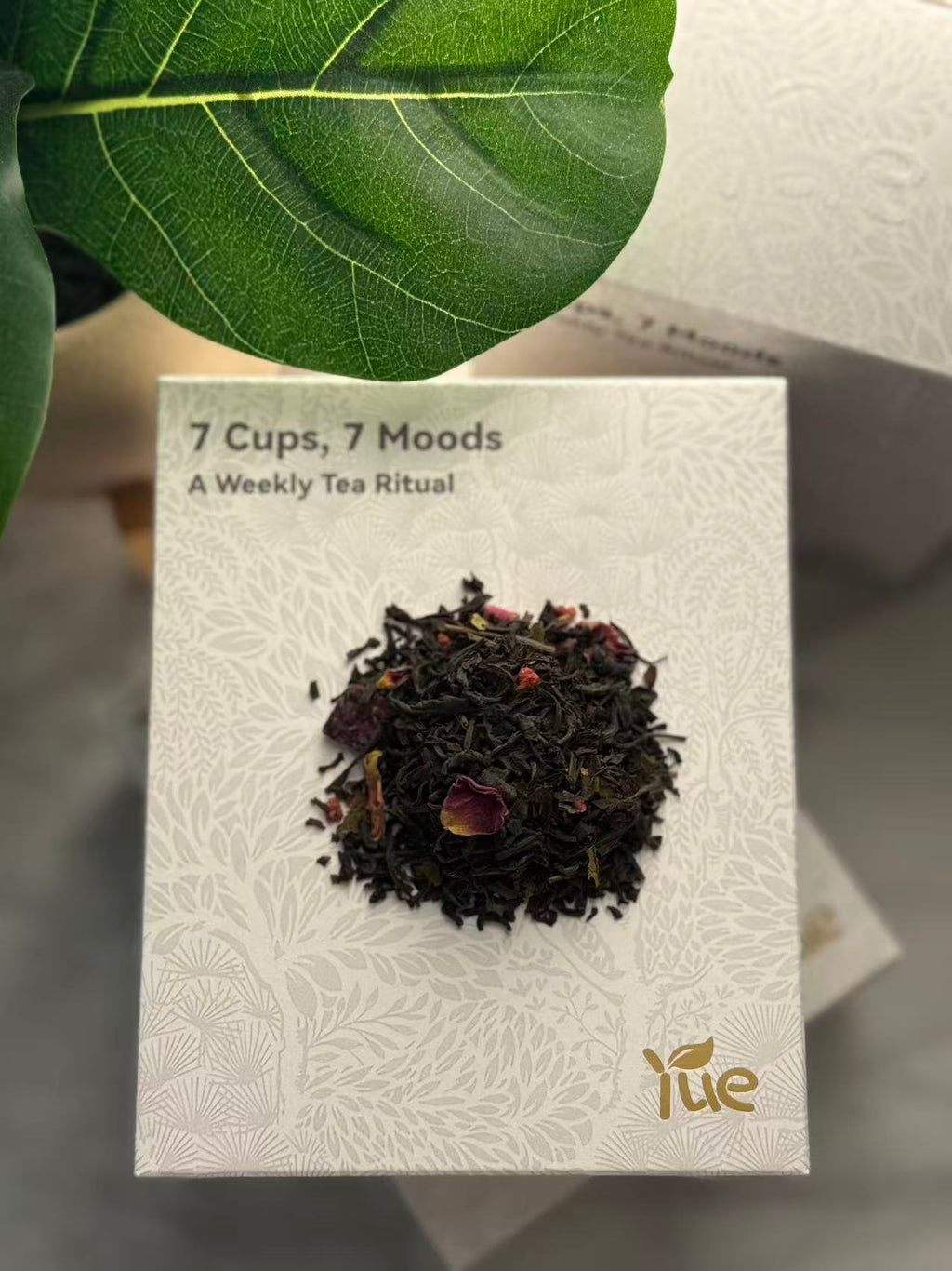 Friday — Rose at Dusk