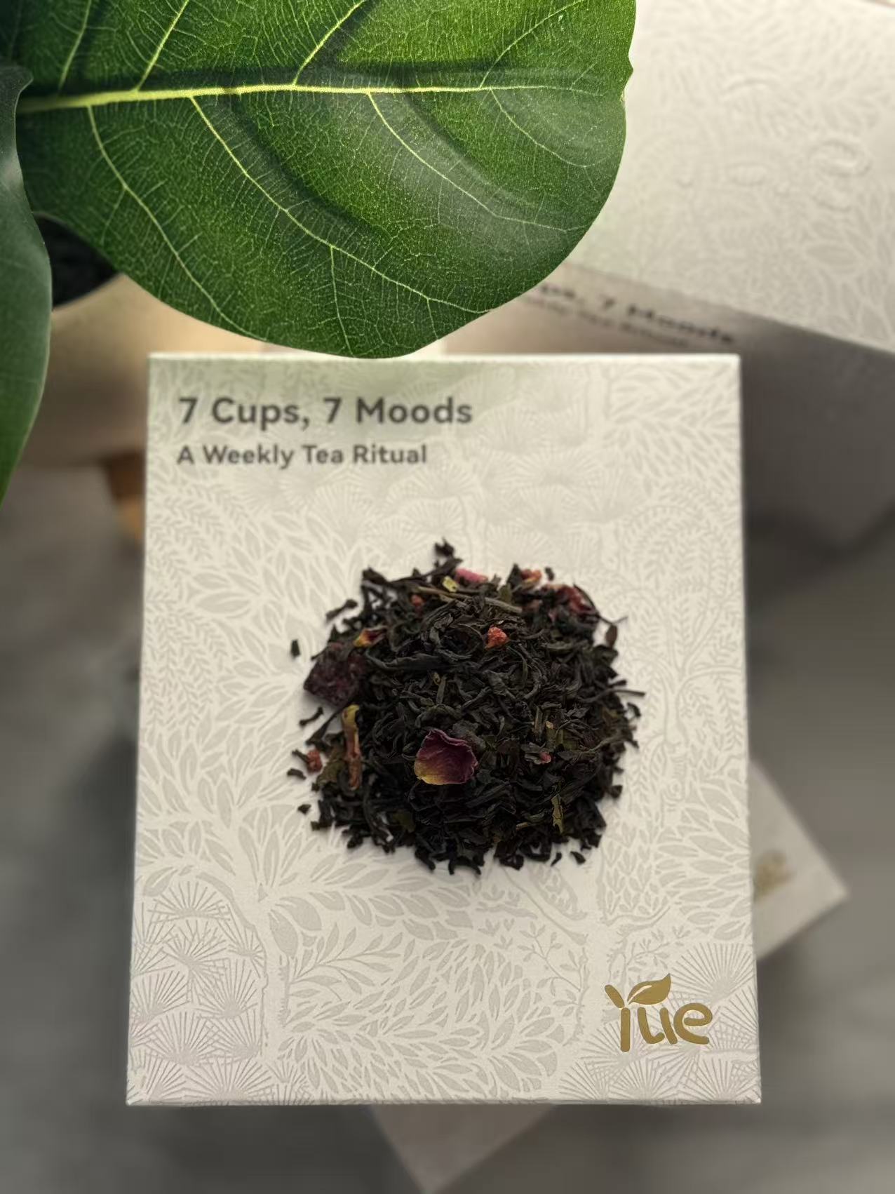 Friday — Rose at Dusk