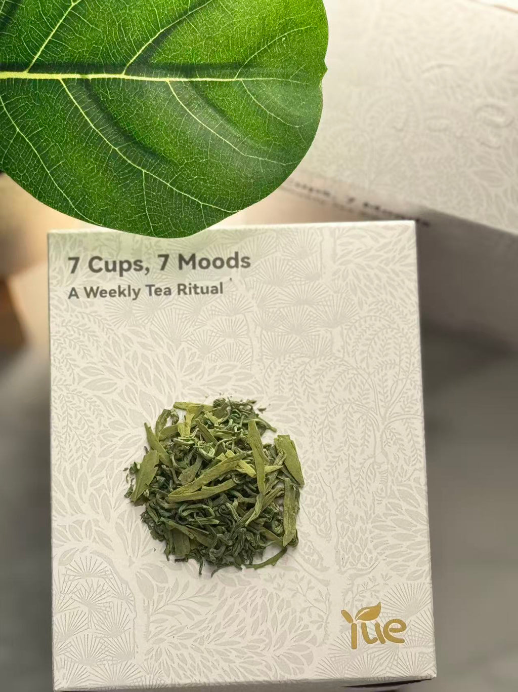 Monday — Green Stillness