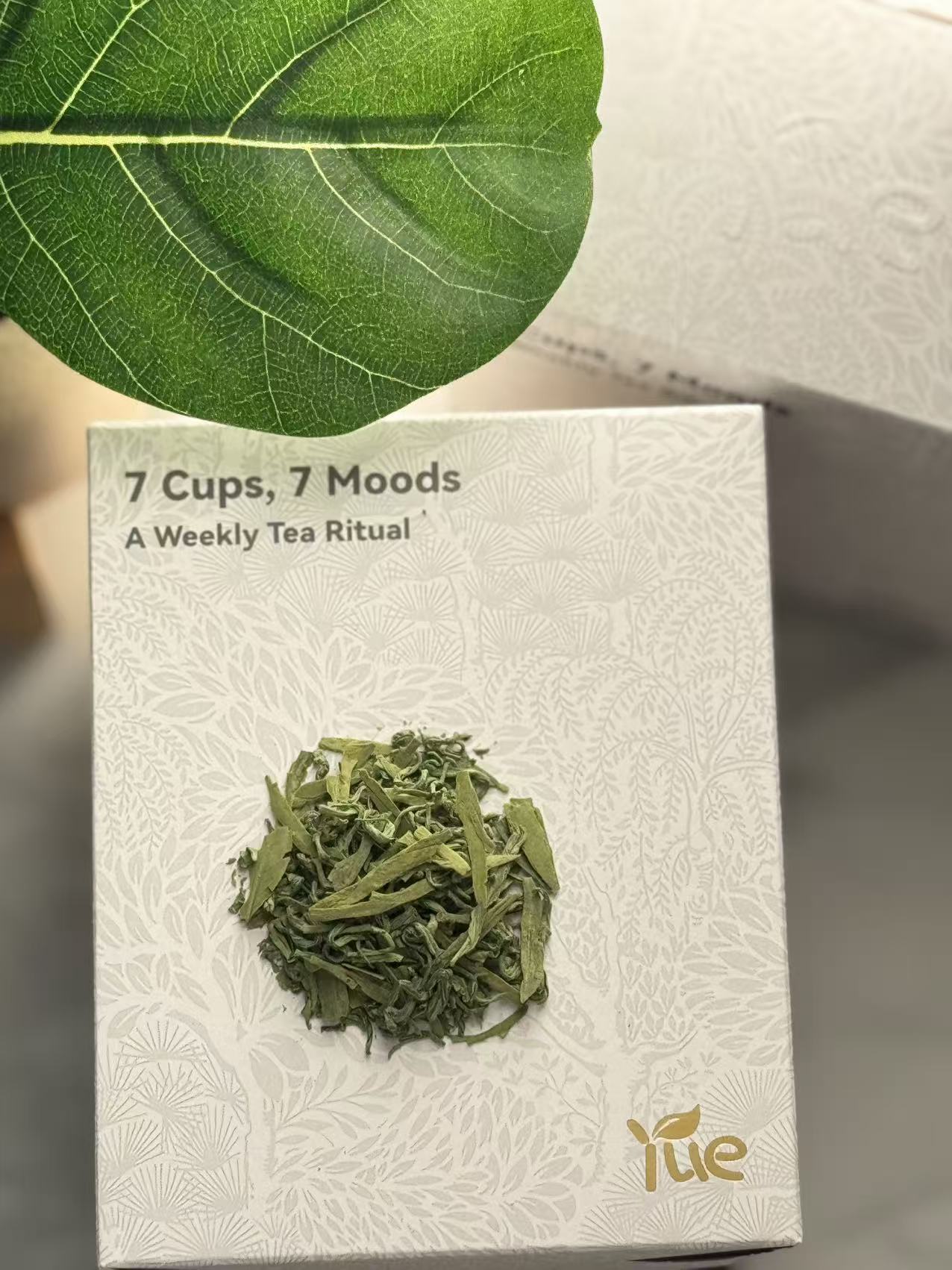 Monday — Green Stillness