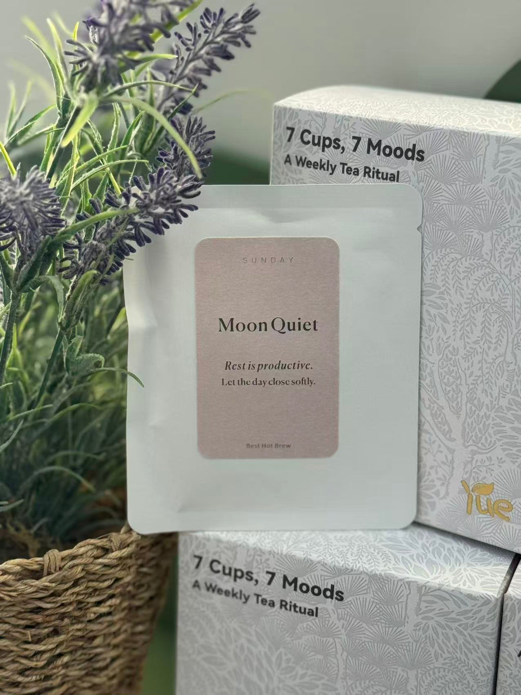 Sunday — Moon Quiet