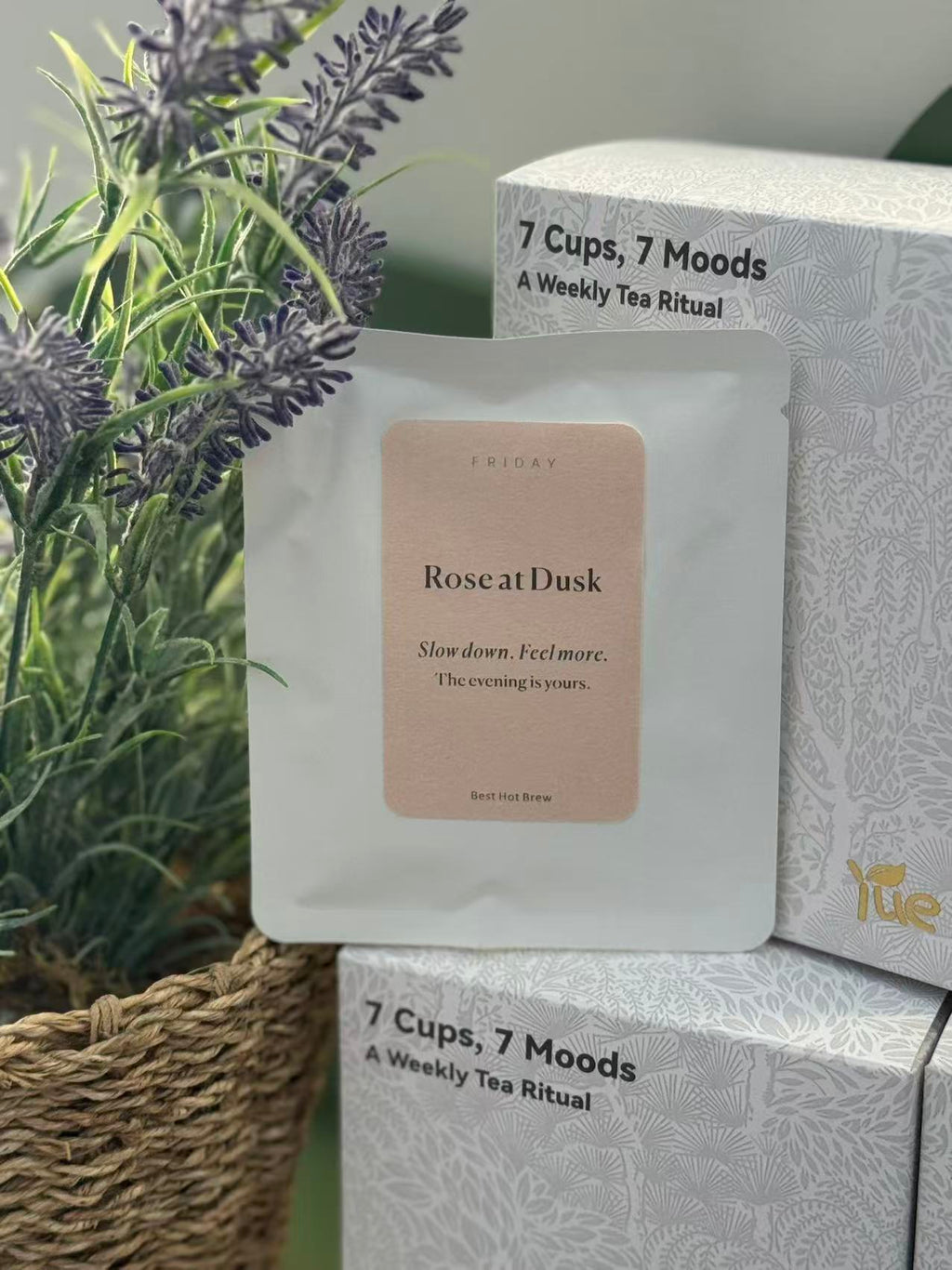 Friday — Rose at Dusk