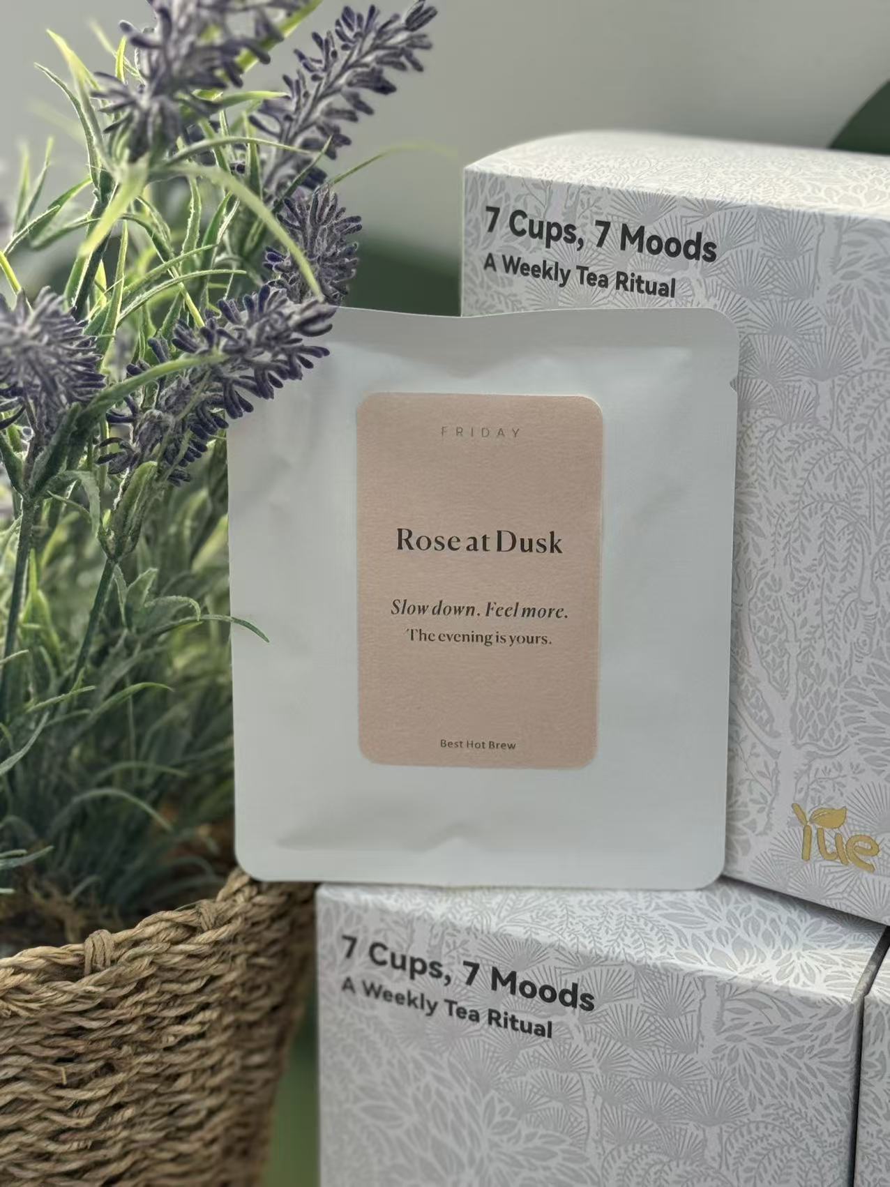 Friday — Rose at Dusk