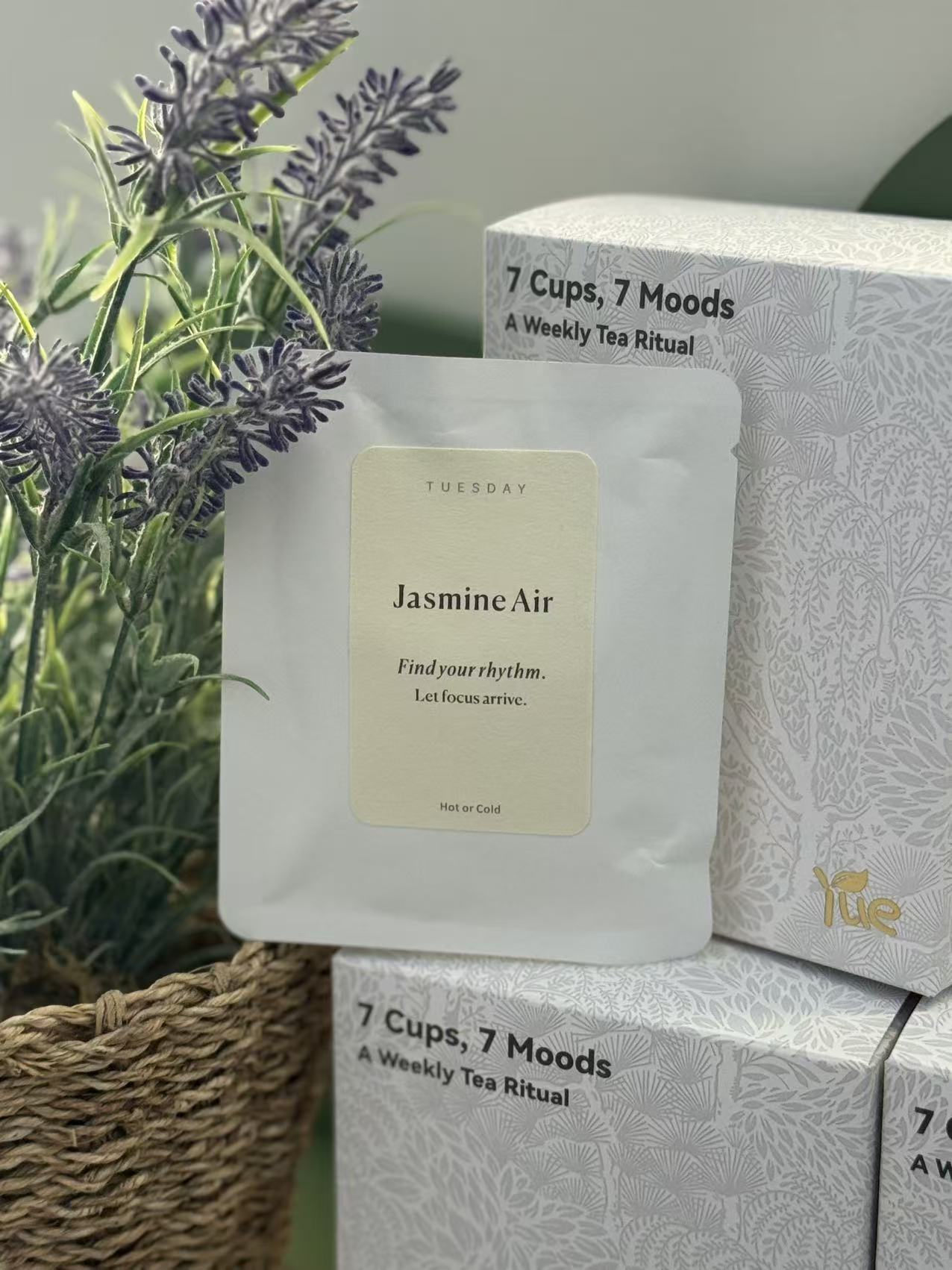 Tuesday — Jasmine Air