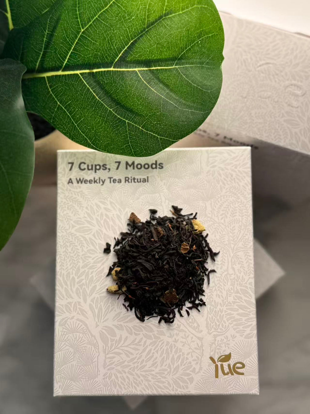 Saturday — Crimson Weekend