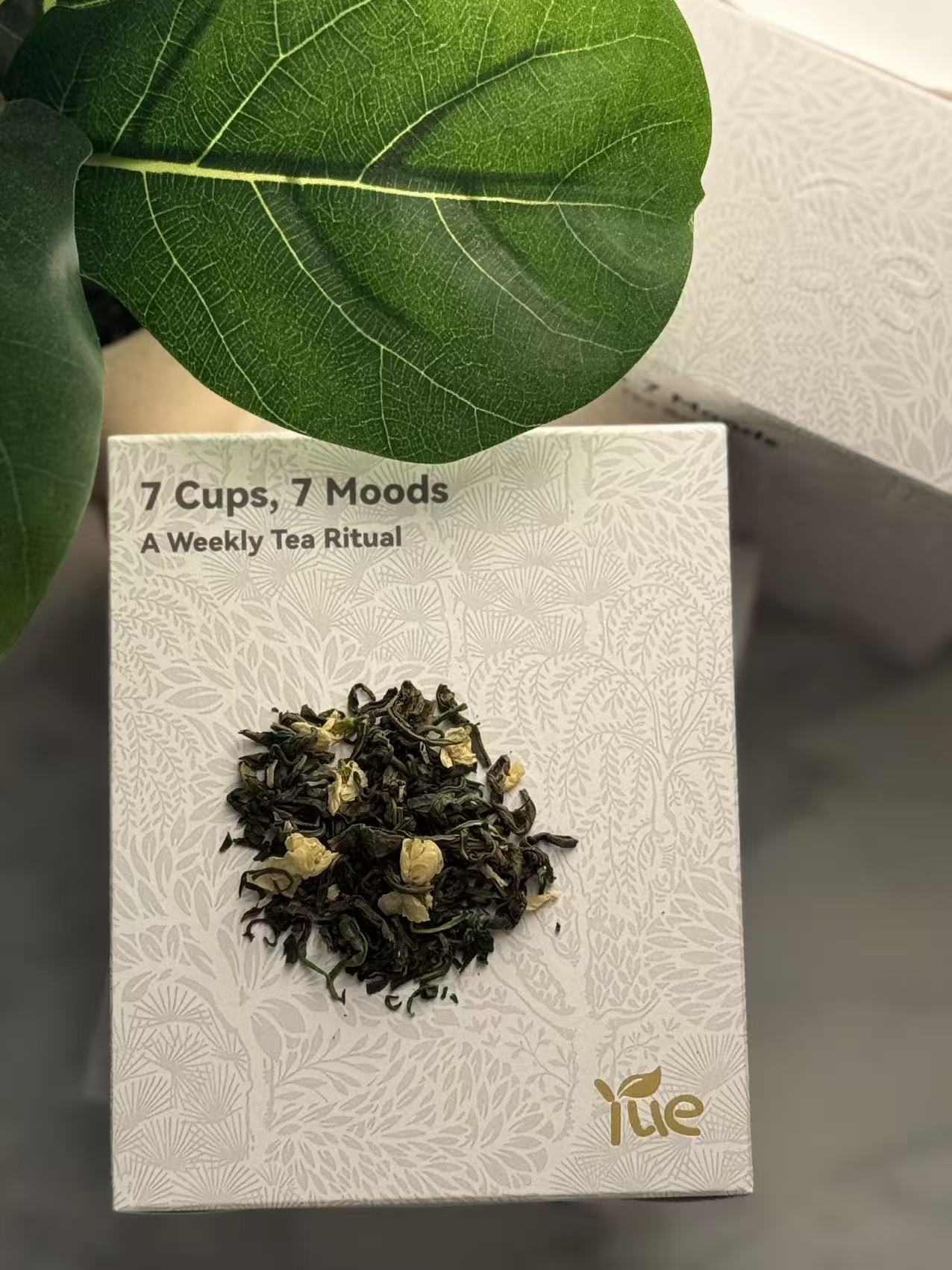 Tuesday — Jasmine Air