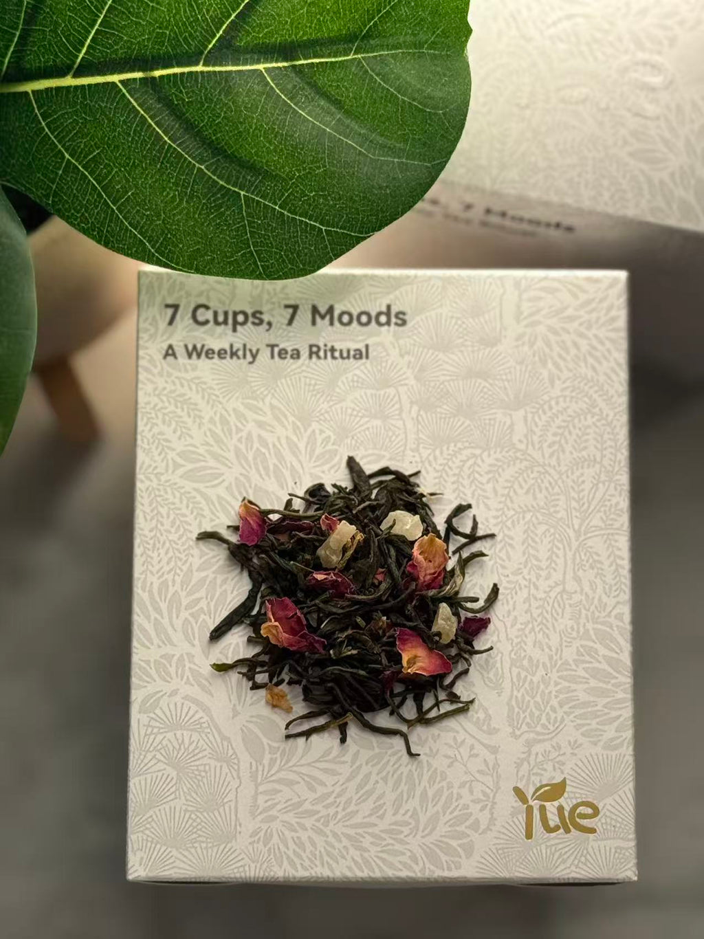 Wednesday — Soft Afternoon