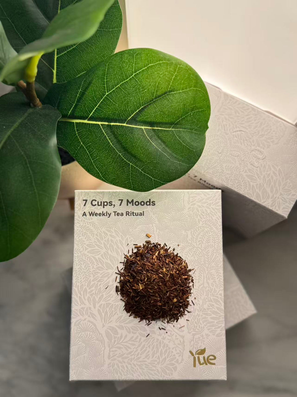 Sunday — Moon Quiet