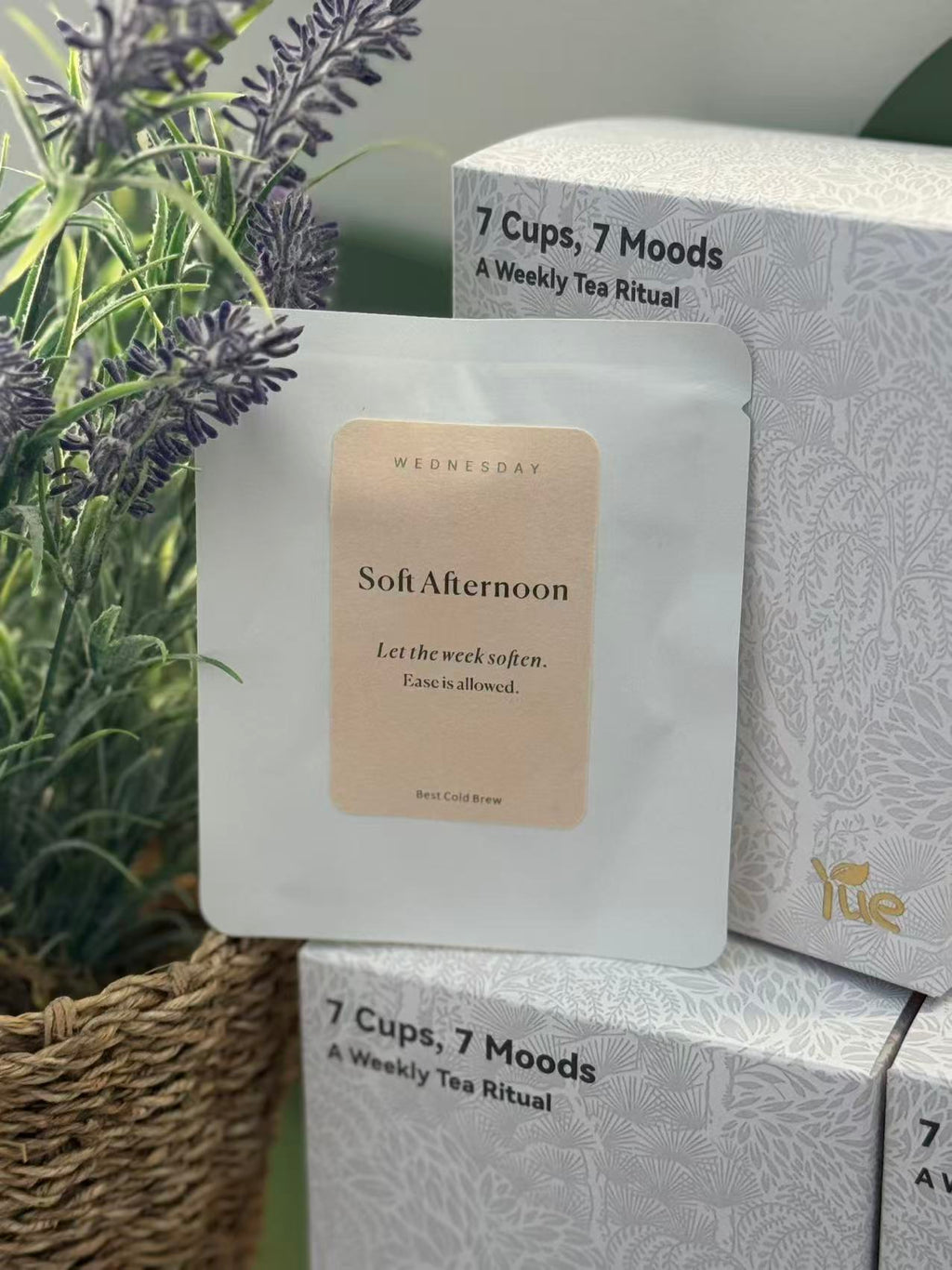 Wednesday — Soft Afternoon