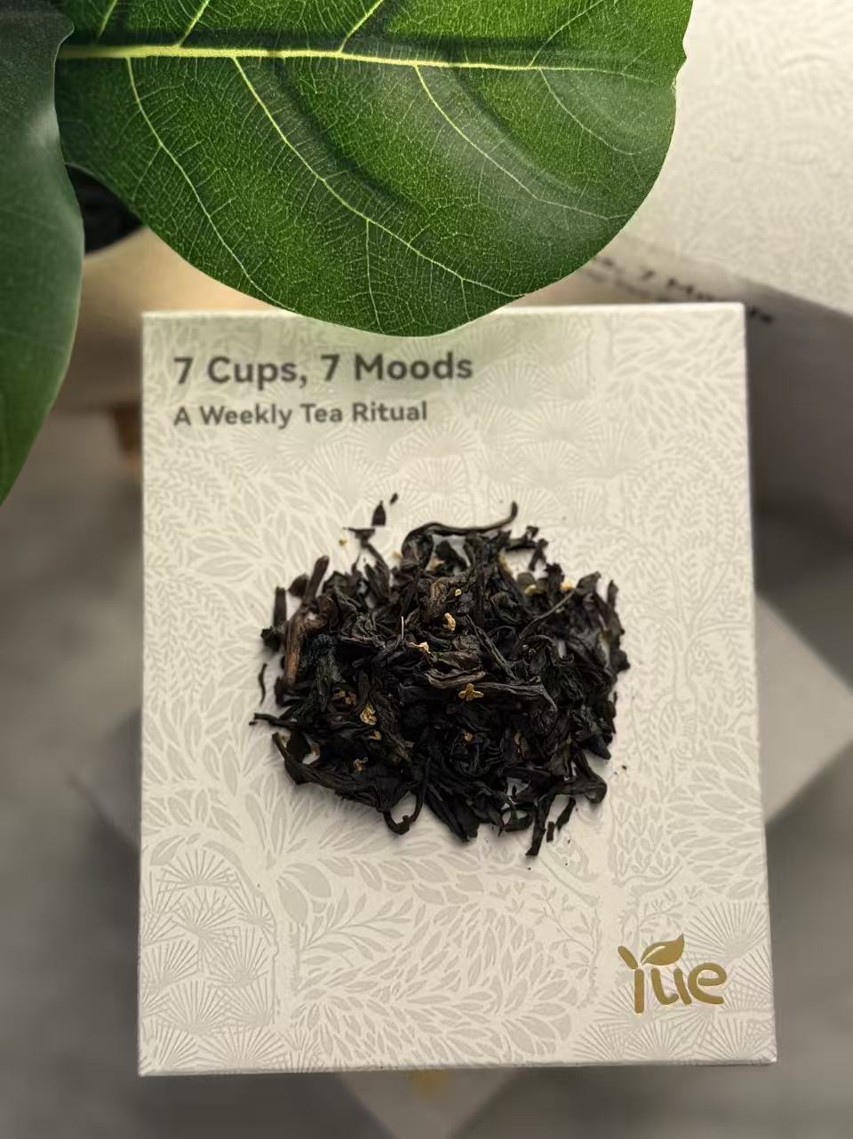 Thursday — Golden Ease